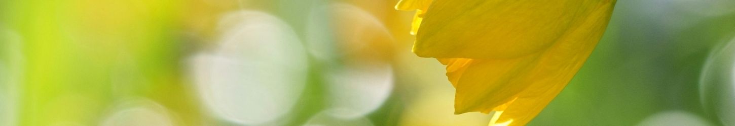 ご相談時の流れ